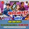 About Bandakpur Wale Bum Bum Bhole Song